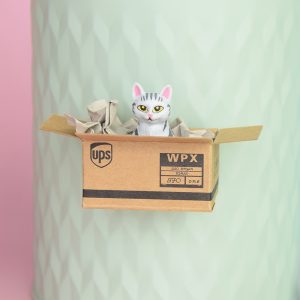 Kühlschrankmagnet, Kühlschrank Magnet, Magnet Katze grau