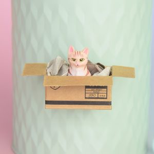 Kühlschrankmagnet, Kühlschrank Magnet, Magnet Katze orange, rote Katze