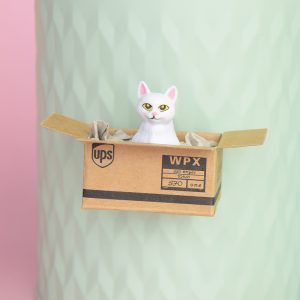Kühlschrankmagnet, Kühlschrank Magnet, Magnet Katze weiß