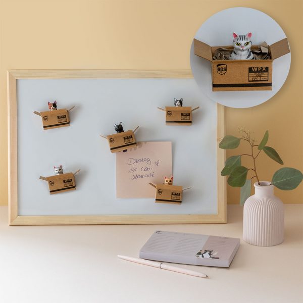 Kühlschrank Magnete Katzen