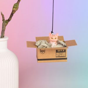 Rückspiegelanhänger, Rückspiegel Anhänger, Anhänger Katze orange
