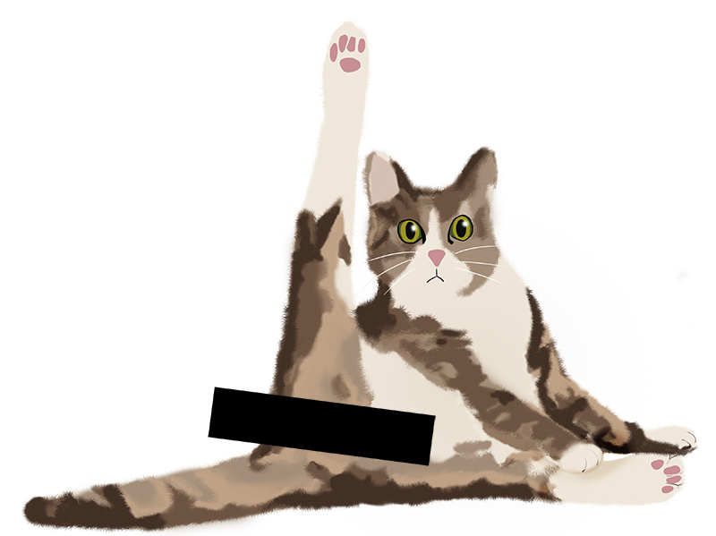 Katzenmuddi Popokatze