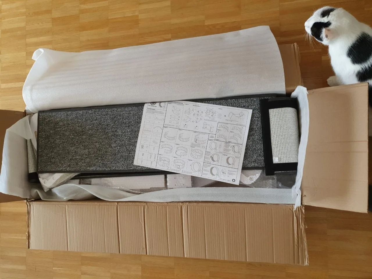 Misho neben dem geöffneten Katzenlaufrad-Karton mit Aufbauanleitung und grauem Laufbelag