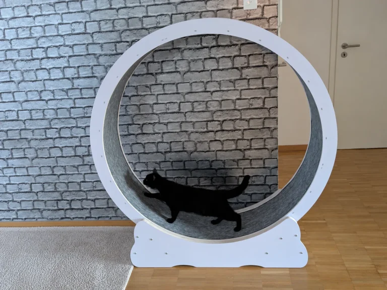 Tutti im weißen XL-Katzenlaufrad aus Holz von Canadian Cat Company