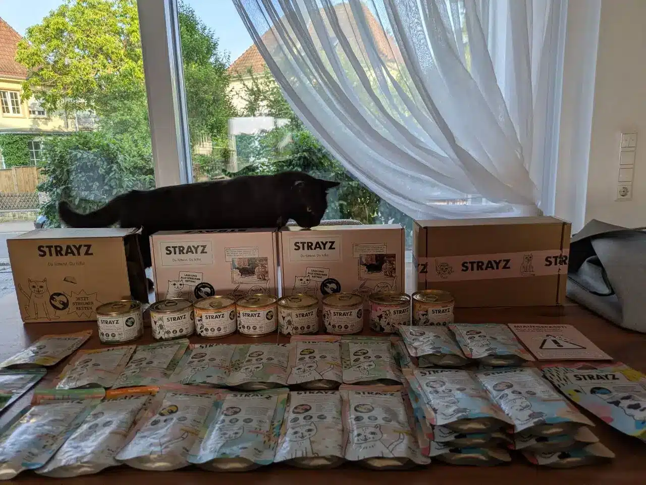 Tutti begutachtet den STRAYZ Aufbau Schwarze Katze Tutti hinter dem aufgebauten STRAYZ Katzenfutter Sortiment