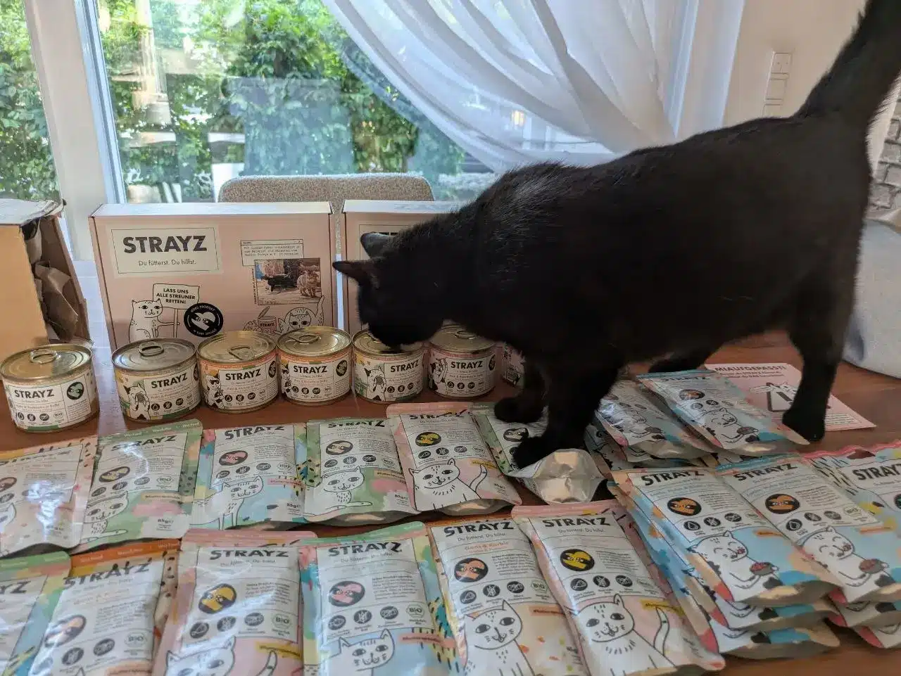 STRAYZ Katzenfutter Test mit Tutti STRAYZ Katzenfutter Test: Katze Tutti schnuppert neugierig an den STRAYZ Dosen