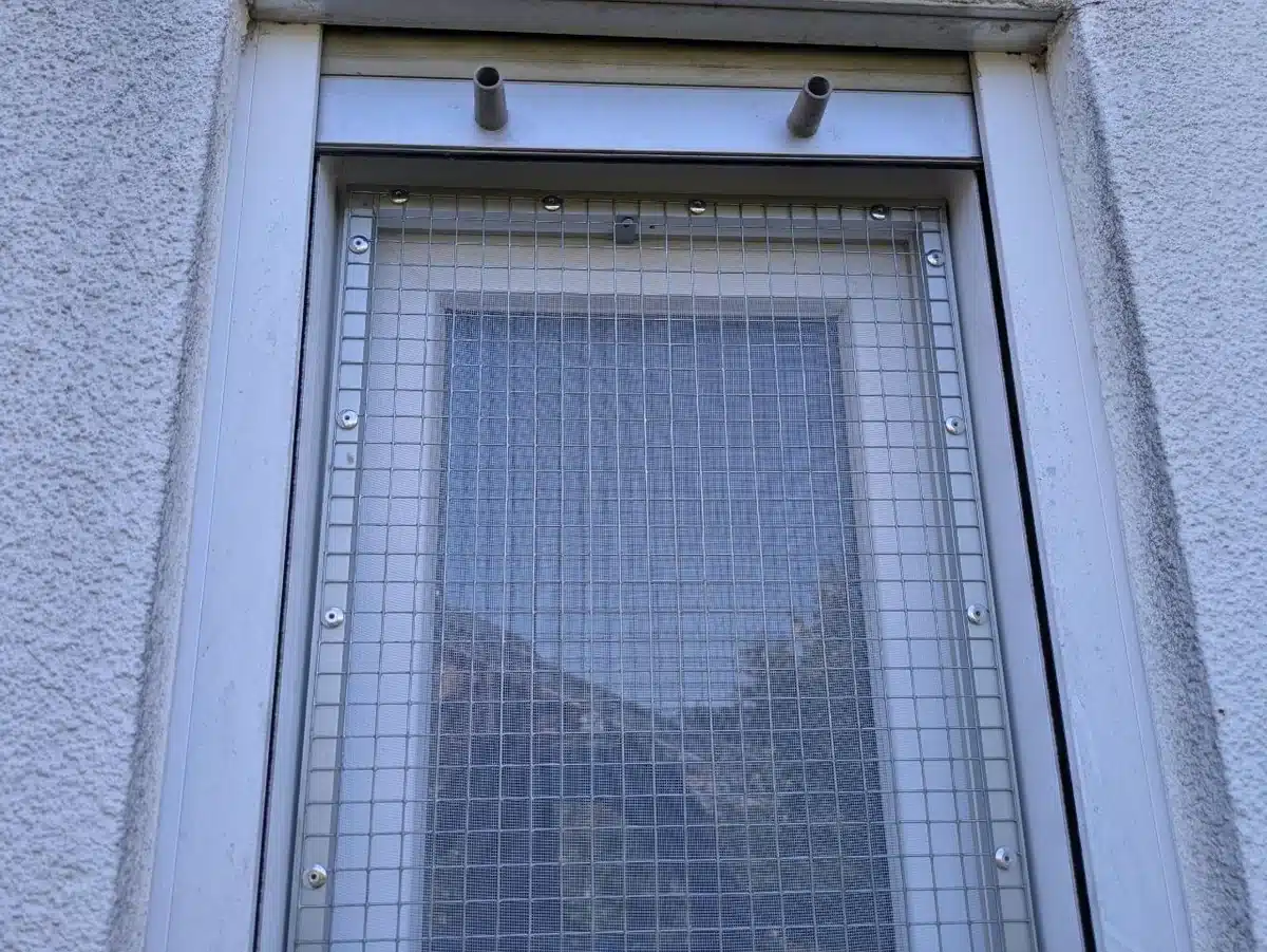 Nahaufnahme des Katzengitters am Fenster mit den sichtbaren Befestigungsschrauben rund um den Alurahmen