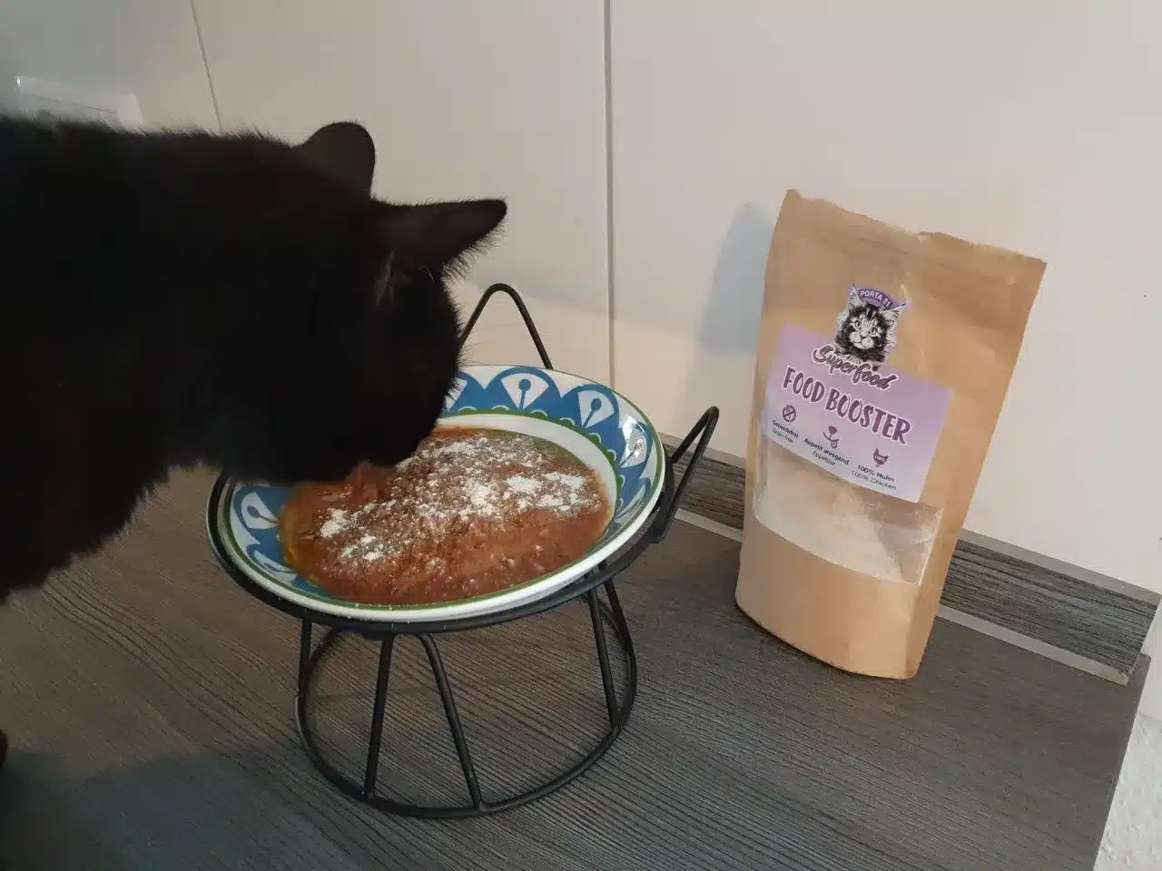 Katze Tutti riecht an Futter mit Porta21 Food Booster