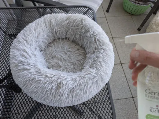 Mishos graues Katzenkörbchen wird mit dem Geruchsentferner von Pawlie's besprüht